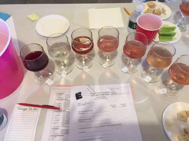 Wine Judging | KdV Wine Services