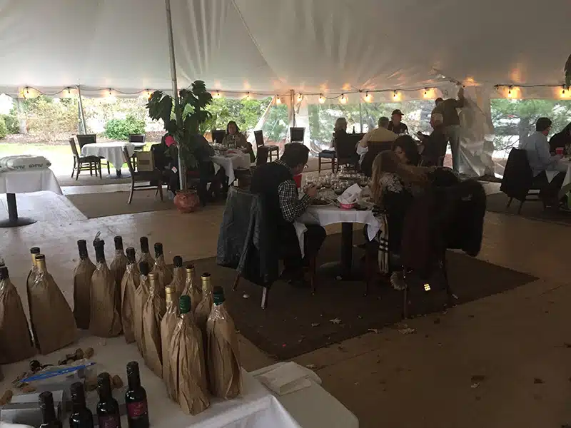 Wine Judging | KdV Wine Services
