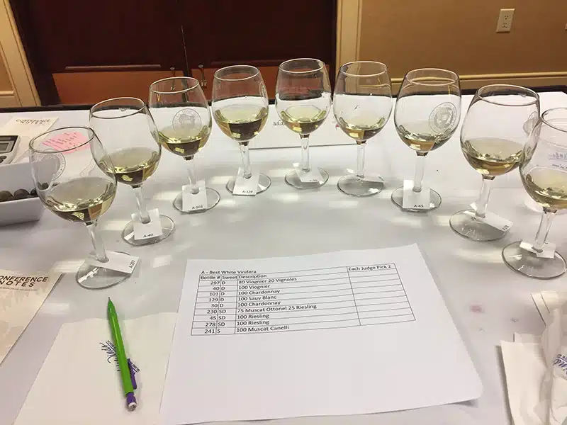 Wine Judging | KdV Wine Services