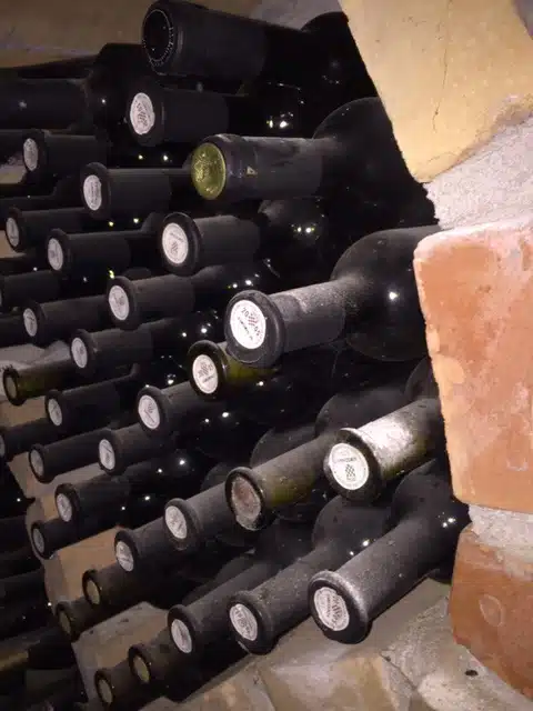 Winery Promotions | KdV Wine Services